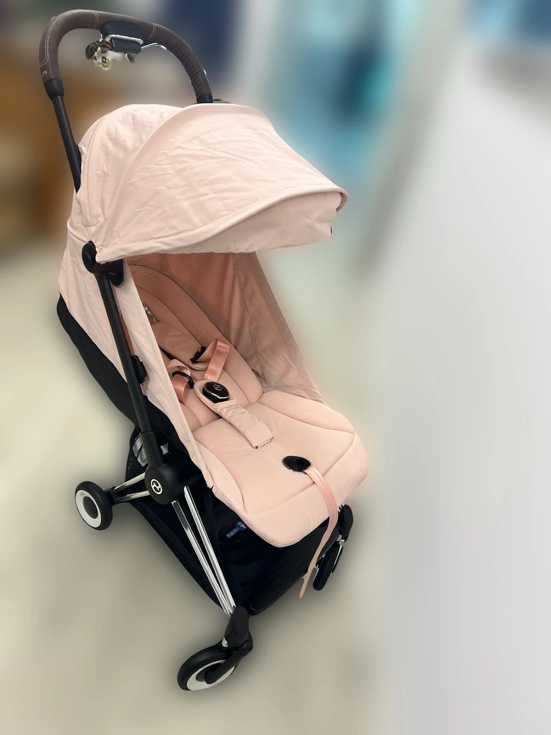 Анжеліка Рябокінь